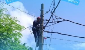 WhatsApp Image 2025-10-14 at 11.03.01