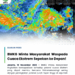 Screenshot 2025-11-11 232111