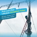 WhatsApp Image 2025-11-24 at 10.10.34