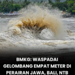 Screenshot 2026-02-27 145002