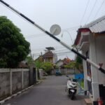 WhatsApp Image 2026-03-13 at 10.53.19